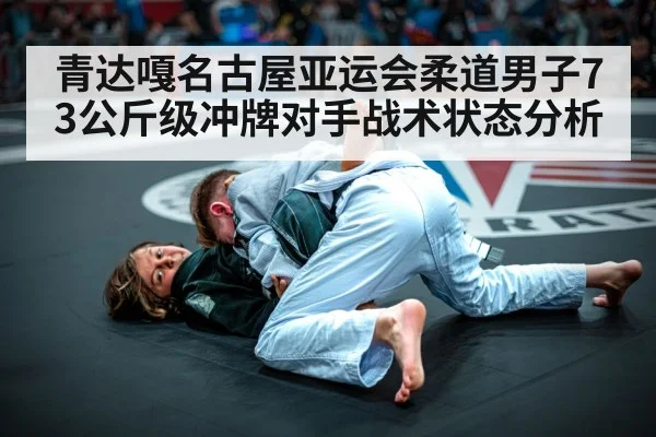 judo competition action